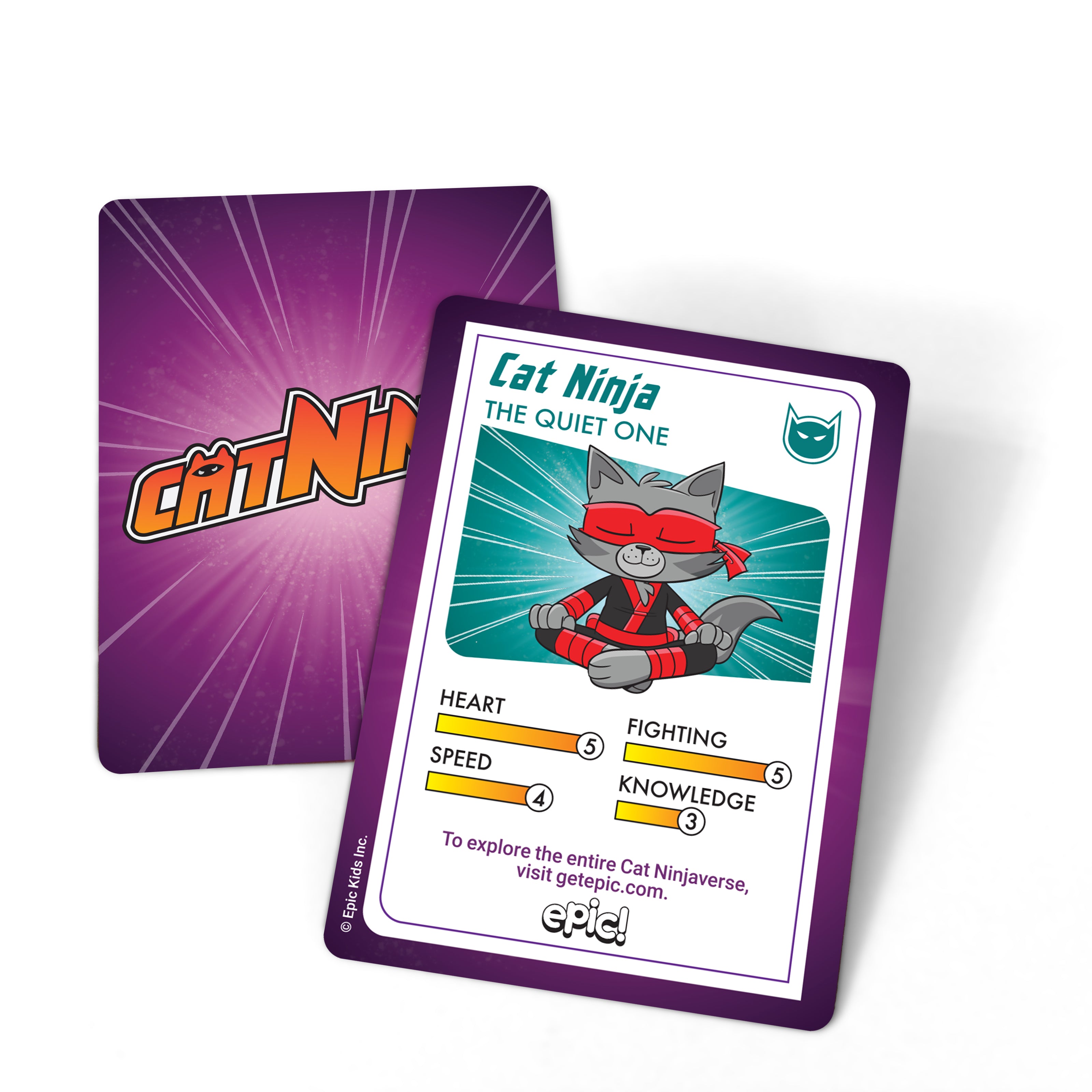 Epic Cat Ninja Figurine - The Quiet One